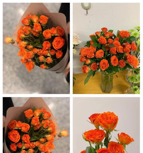 橙子珠子玫瑰花的寓意是什么？