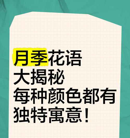 出不一样的花语有何特殊含义？
