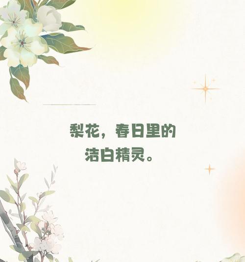 梨花的花语代表了怎样的情感？