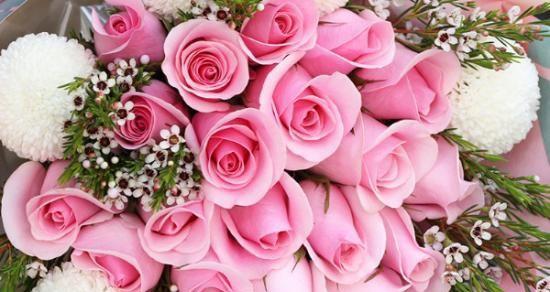 粉红玫瑰花11朵代表什么？送人时应如何表达？