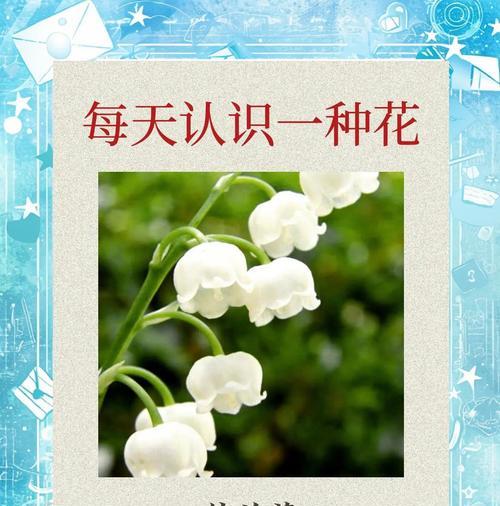 哪种花象征着和平与和谐？花语中的和平之花有哪些？