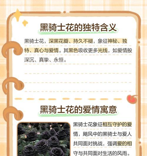 黑骑士小花束的花语代表什么？黑骑士花束的寓意是什么？