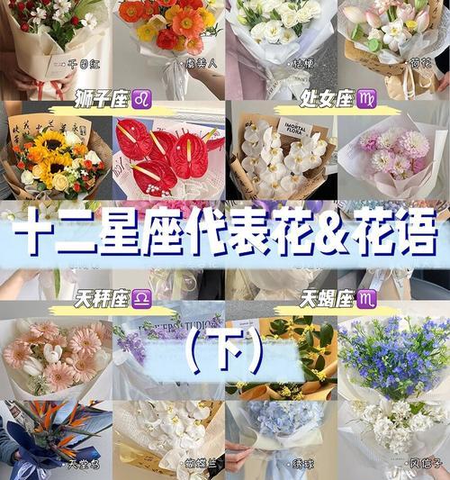 梅朵花的花语有哪些独特之处？