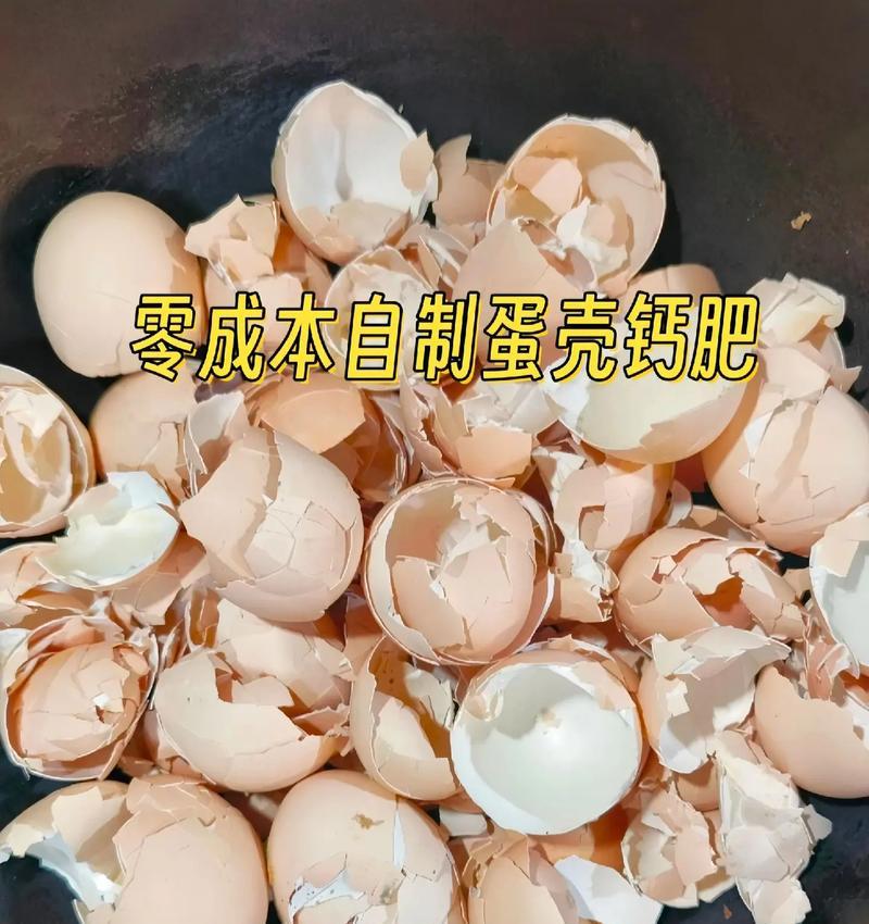 蛋壳拌土养仙人球怎么养？蛋壳拌土养仙人球的方法是什么？