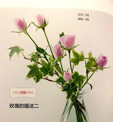 九支玫瑰花的插花技巧是什么？