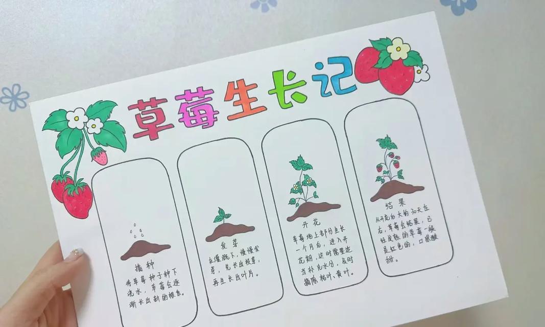 盆里种植仙人掌的正确方法是什么？如何确保其健康成长？