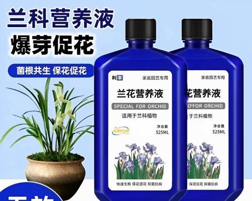 君子兰营养液使用方法及效果如何？