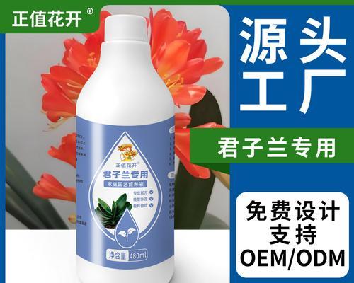 君子兰肥料颗粒的正确使用方法是什么？