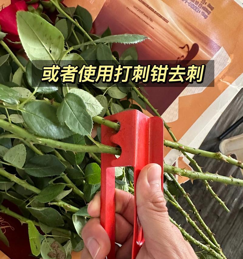 购买的玫瑰花如何养护？