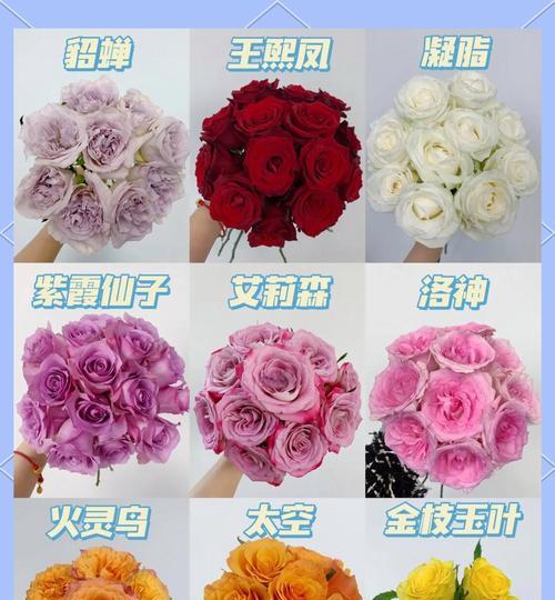 购买的玫瑰花如何养护？