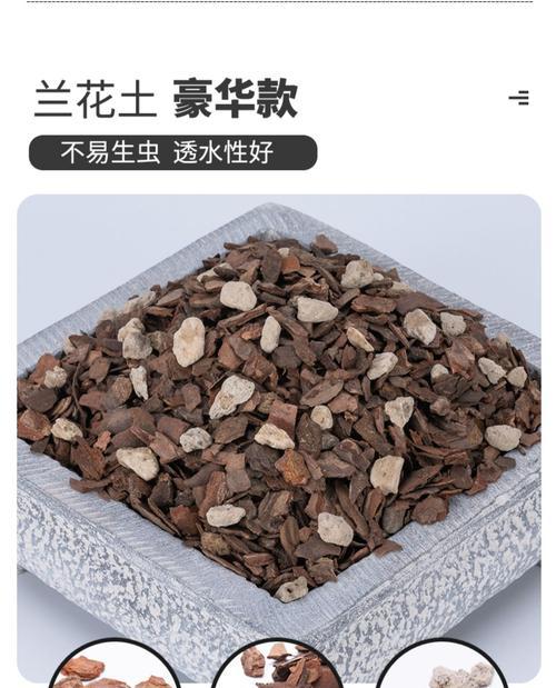 君子兰土如何配制？怎样才能养活兰花？