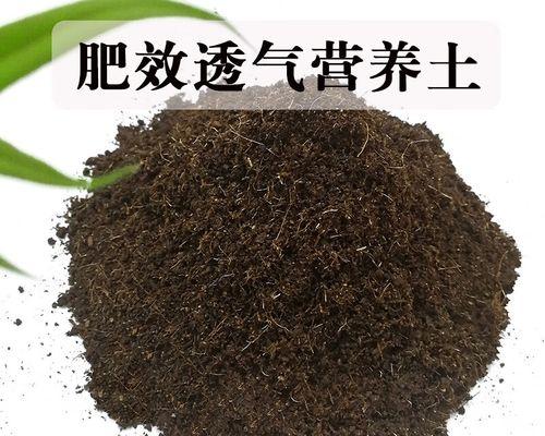 君子兰土如何配制？怎样才能养活兰花？