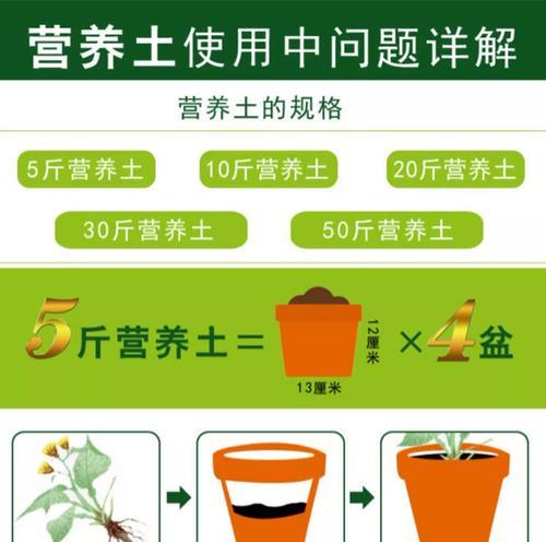 君子兰土如何配制？怎样才能养活兰花？