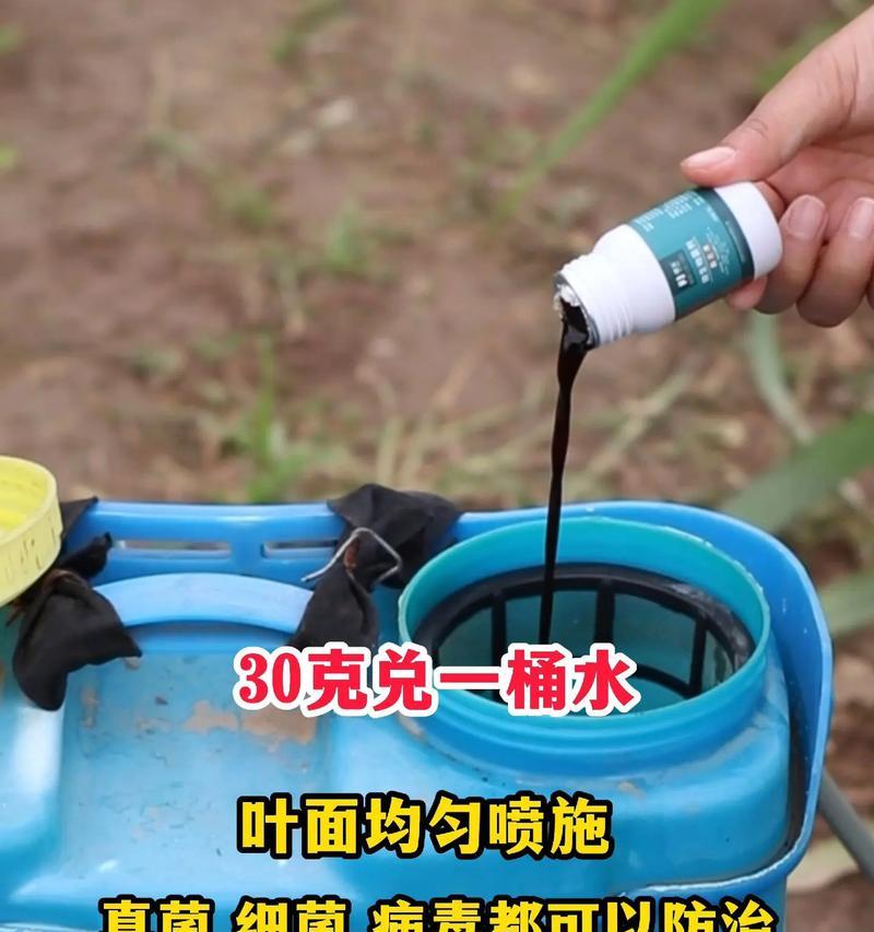 玫瑰花种植中常用的杀菌剂有哪些？