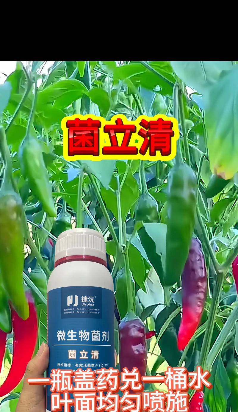 玫瑰花种植中常用的杀菌剂有哪些？