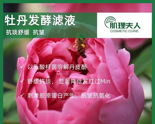 如何选择适合牡丹花的肥料？
