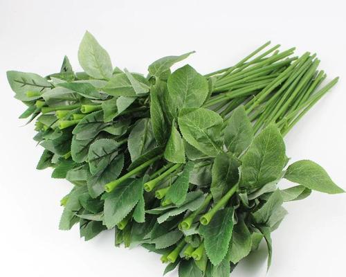 单杆玫瑰花怎么修剪好看？单杆玫瑰花的修剪技巧是什么？