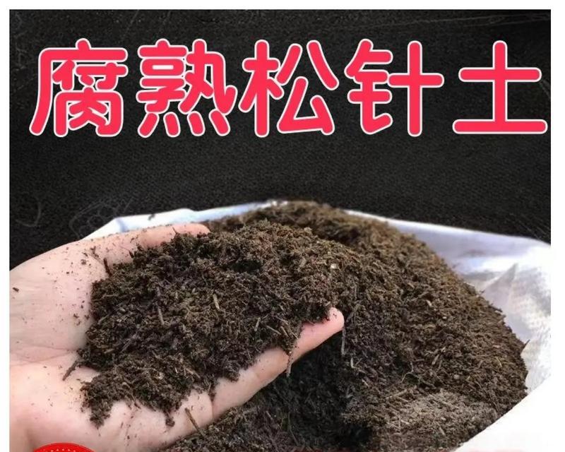 君子兰适合哪种土壤生长