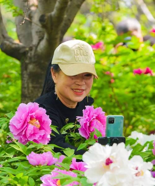 牡丹花与鼻子在形态上有何不同？