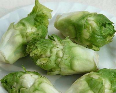 玫瑰花与榨菜有哪些本质区别？