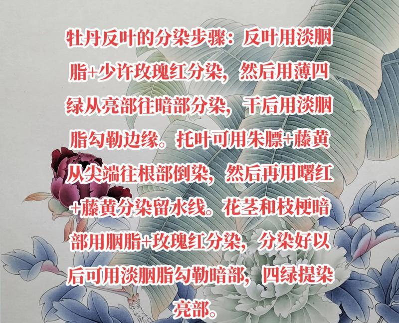 牡丹花叶子不绿的原因是什么？