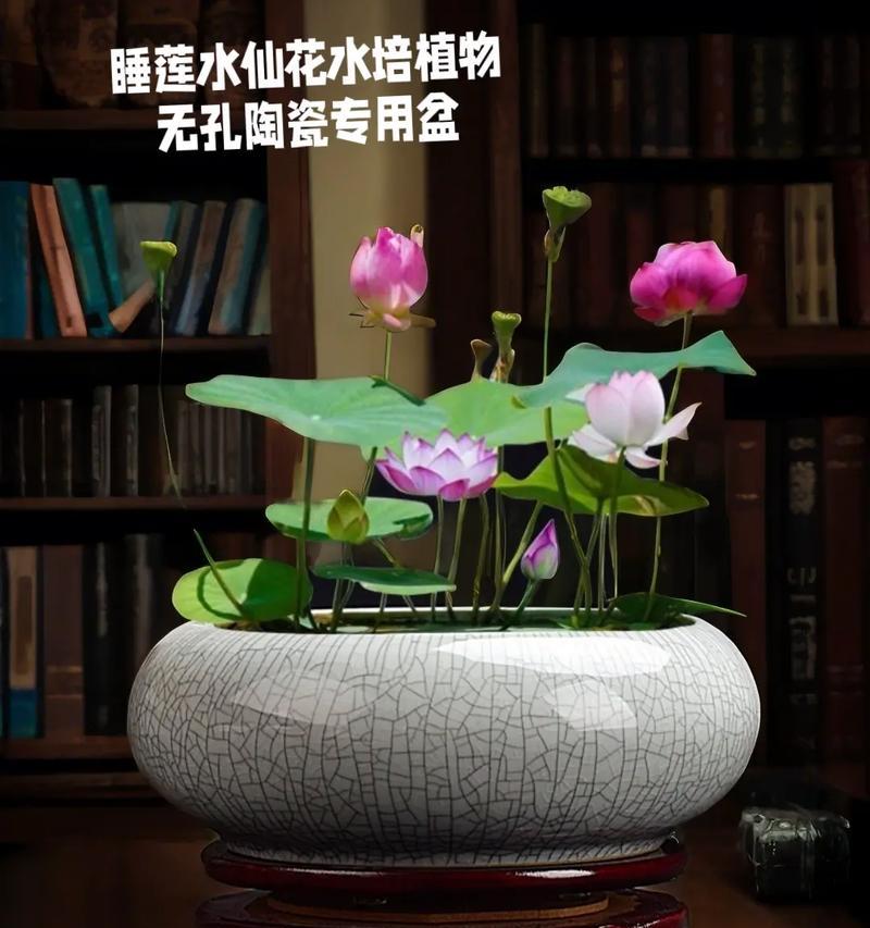牡丹花专用花盆的名称是什么？这种花盆有何特别之处？