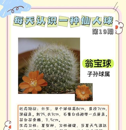 捡到仙人球怎么种植呢？有哪些步骤和注意事项？
