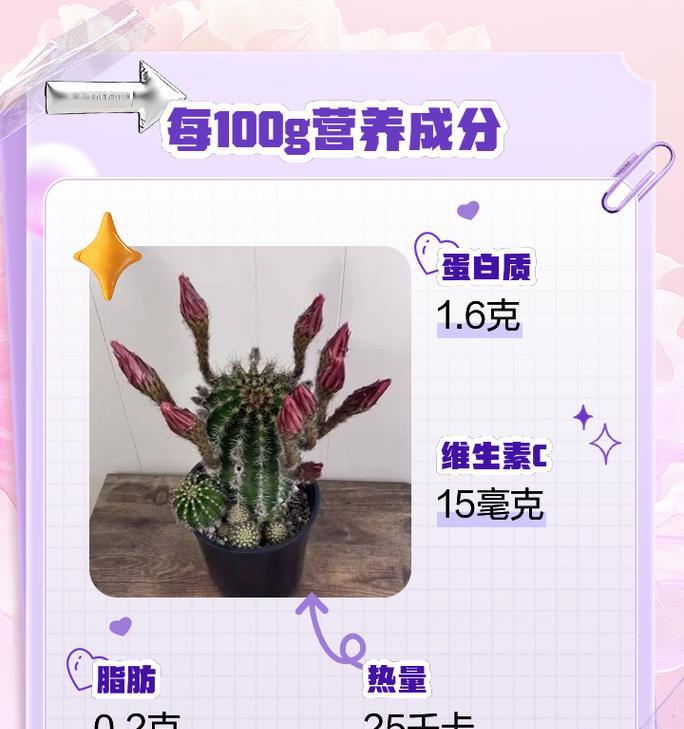 仙人掌怎么繁殖？繁殖方法有哪些？