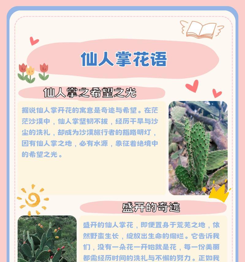 仙人掌怎么繁殖？繁殖方法有哪些？