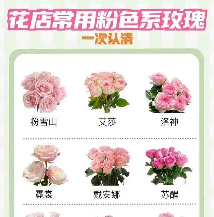 室内小玫瑰花的养护技巧有哪些？