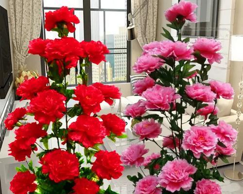 陶瓷花盆中牡丹花的养护要点是什么？