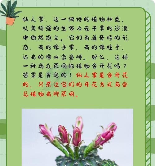 仙人掌白檀开花周期过长的原因是什么？