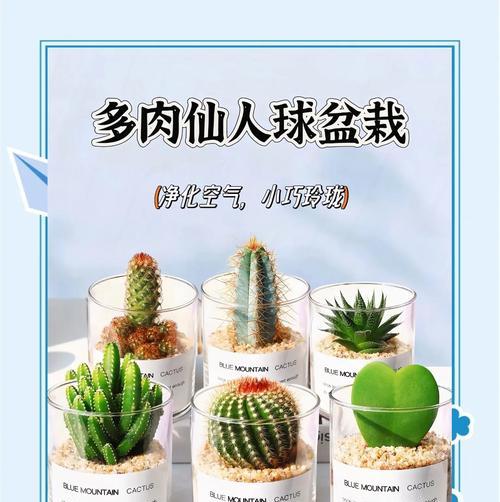 仙人球冬季保暖包裹方法是什么？