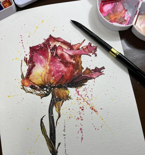 玫瑰花换水后枯萎的原因有哪些？如何预防和解决？