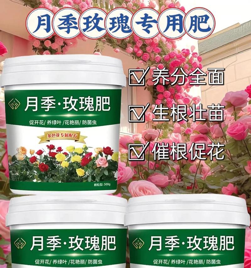 玫瑰花施肥的最佳方法是什么？怎样施肥更有效？