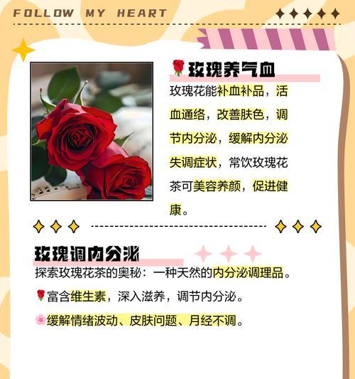 新鲜玫瑰花栽培需要注意什么？