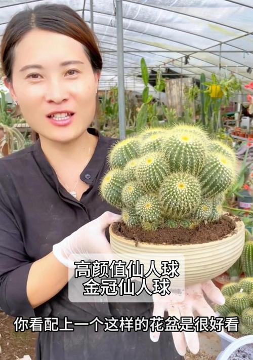 口笛仙人球的养殖难度如何？有哪些特别的养护技巧？