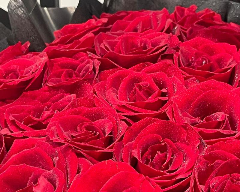 超大花束玫瑰花养护方法？如何延长花期？