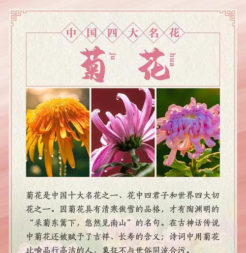 牡丹花不开花的常见原因及解决方法是什么？