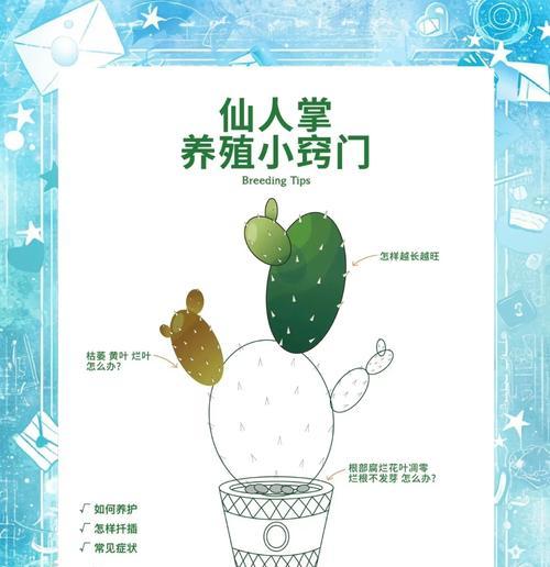 仙人掌种植后正确的储存方法是什么？