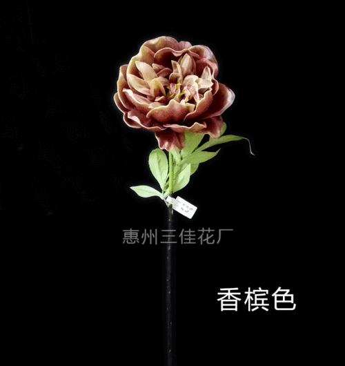 金牡丹花假花需要如何养护？有哪些特别的注意事项？