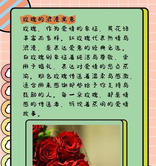 秀气大方漂亮玫瑰花语有何含义？