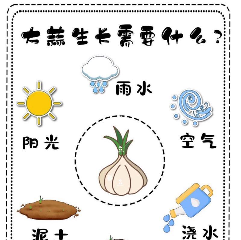 盆栽种子快速生长的秘诀是什么？有哪些技巧？