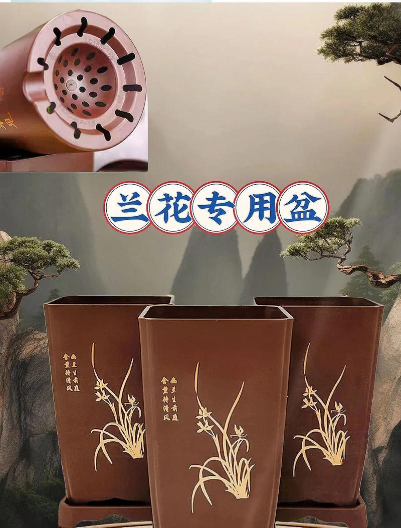 新买的兰花上盆步骤是什么？需要注意哪些事项？