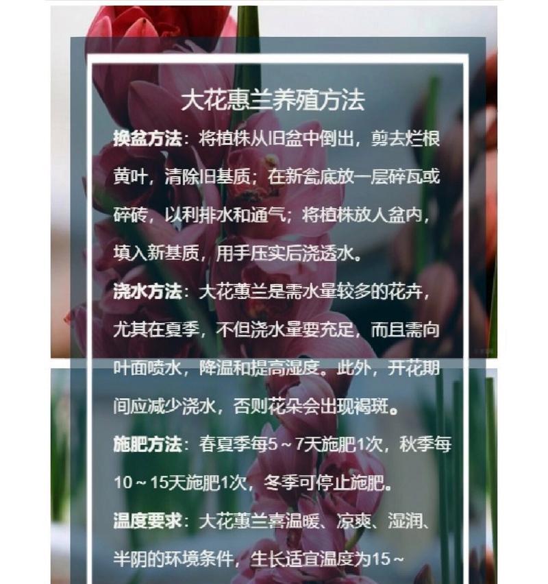 新买的兰花上盆步骤是什么？需要注意哪些事项？