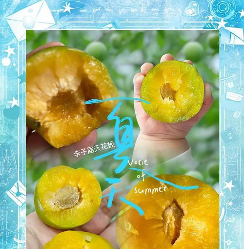 道具李子的花语是什么？李子花束的寓意是什么？