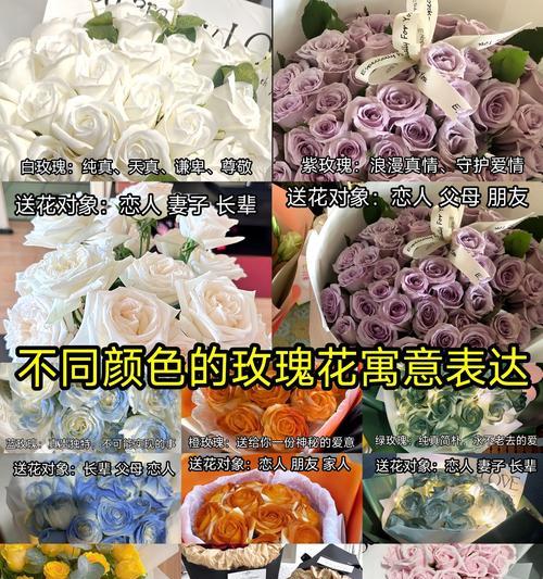 不同数量的玫瑰花语有何不同含义？