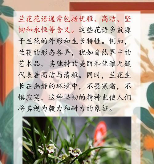 花语表达孤寂的句子有哪些？简短的孤寂花语句子是什么？