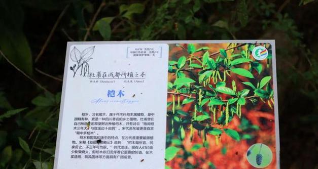 植物的种类有哪些？每种植物的特性是什么？