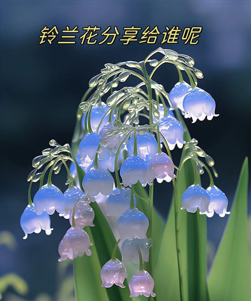 琉璃铃兰花语及其寓意是什么？它象征着什么？